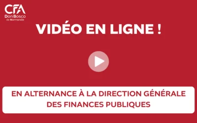 Aurélien DE MIL à la DGFIP