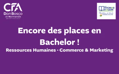 Bachelor en alternance Flers
